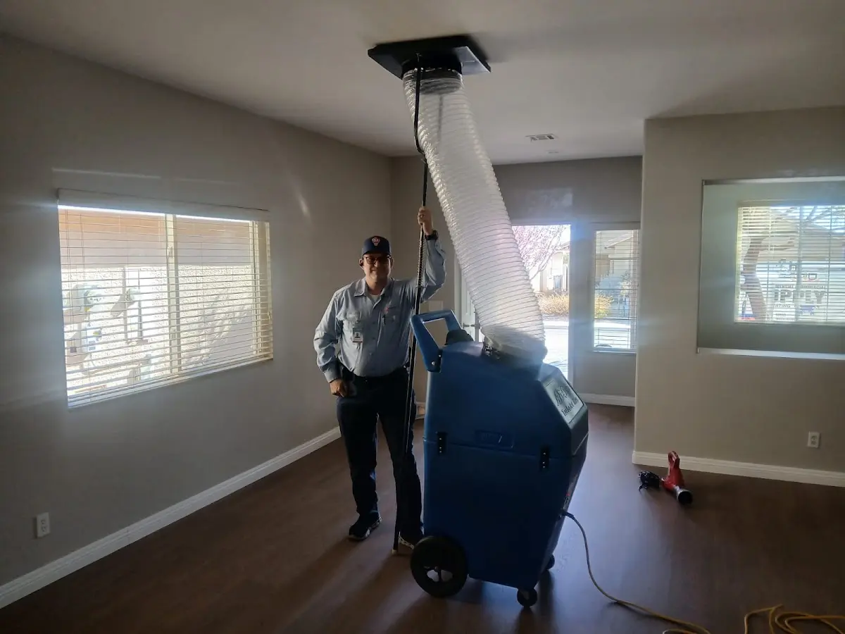 Professional Dryer Vent Cleaning work inside a Bellair-Meadowbrook Terrace home